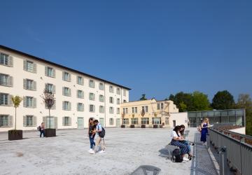Pignolo